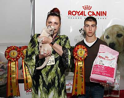 �������� ����� '�������&nbsp;���-�����' 31 ������� - 1 �������� 2013 �.