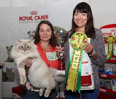 �������� ����� '�������&nbsp;���-�����' 31 ������� - 1 �������� 2013 �.