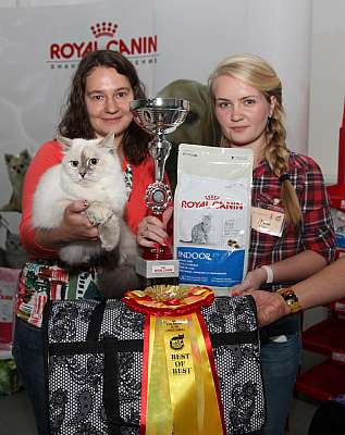 �������� ����� '�������&nbsp;���-�����' 31 ������� - 1 �������� 2013 �.