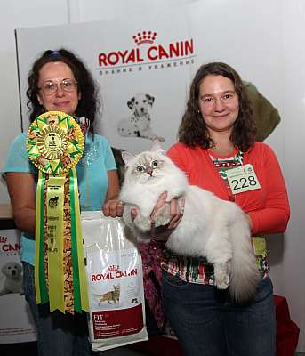 �������� ����� '�������&nbsp;���-�����' 31 ������� - 1 �������� 2013 �.