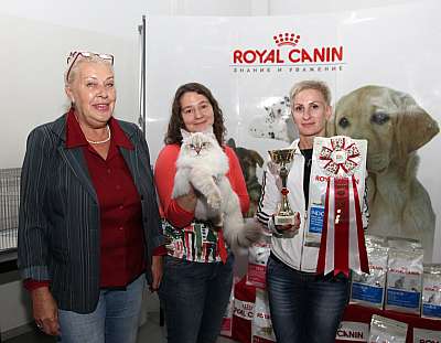 �������� ����� '�������&nbsp;���-�����' 31 ������� - 1 �������� 2013 �.