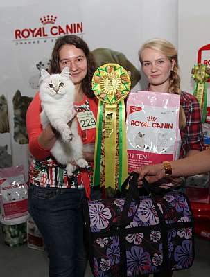 �������� ����� '�������&nbsp;���-�����' 31 ������� - 1 �������� 2013 �.