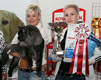 �������� ����� '�������&nbsp;���-�����' 31 ������� - 1 �������� 2013 �.