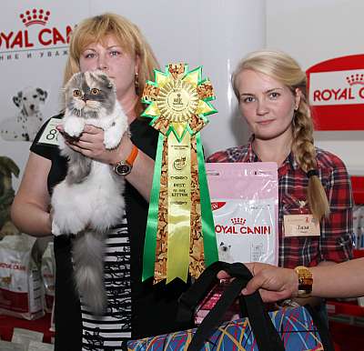 �������� ����� '�������&nbsp;���-�����' 31 ������� - 1 �������� 2013 �.