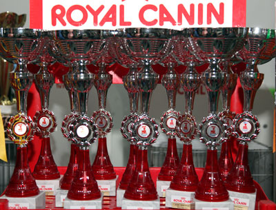 �������� ����� '�������&nbsp;���-�����' 31 ������� - 1 �������� 2013 �.