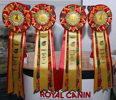 �������� ����� '�������&nbsp;���-�����' 31 ������� - 1 �������� 2013 �.