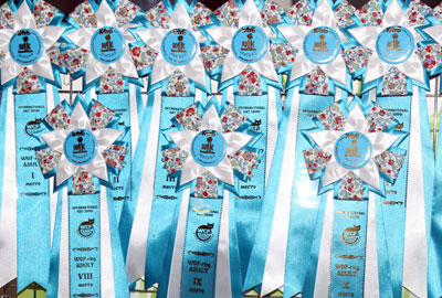 �������� ����� '�������&nbsp;���-�����' 30 ������ - 1 ������� 2013 �.