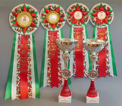 �������� ����� '�������&nbsp;���-�����' 30 ������ - 1 ������� 2013 �.