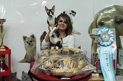 �������� ����� '������ ���-�����'  22-23 ������� 2014 �. 125_DSC_1384r.jpg