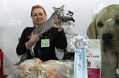 �������� ����� '������ ���-�����'  22-23 ������� 2014 137_DSC_1300r.jpg