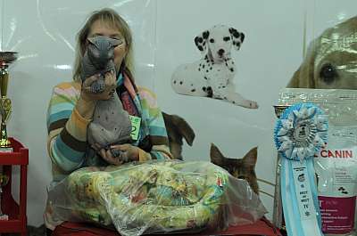 �������� ����� '������ ���-�����'  22-23 ������� 2014 �. 142_DSC_1372r.jpg