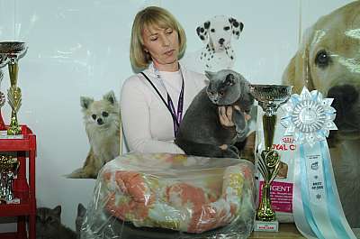 �������� ����� '������ ���-�����'  22-23 ������� 2014 187_DSC_1340r.jpg