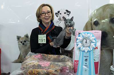 �������� ����� '������ ���-�����'  22-23 ������� 2014 191_DSC_1286r.jpg