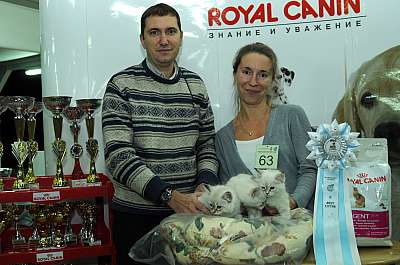 �������� ����� '������ ���-�����'  22-23 ������� 2014  63_DSC_1266r.jpg