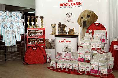 �������� ����� '������&nbsp;���-�����'  22-23 ������� 2014 �.