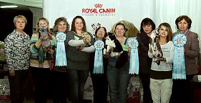 �������� ����� '������ ���-�����'  22-23 ������� 2014 �. DSC_1375.jpg