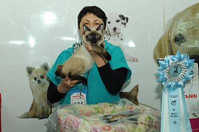 �������� ����� '������ ���-�����'  22-23 ������� 2014 131_DSC_2232r.jpg