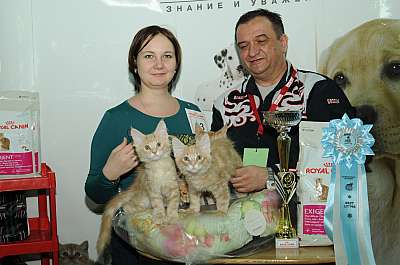 �������� ����� '������ ���-�����'  22-23 ������� 2014 13_DSC_2175r.jpg