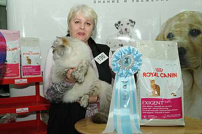 �������� ����� '������ ���-�����'  22-23 ������� 2014 196_DSC_2259r.jpg