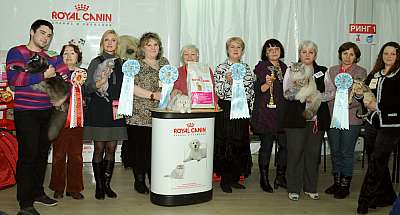 �������� ����� '������ ���-�����'  22-23 ������� 2014 DSC_2264.jpg