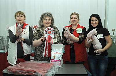 �������� ����� '������ ���-�����'  22-23 ������� 2014 ������������ ��� DSC_1044r.jpg