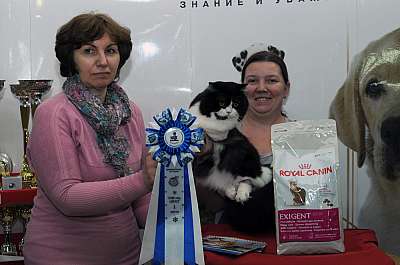 �������� ����� '������ ���-�����'  22-23 ������� 2014 WCF-����� 159_DSC_0974r.jpg