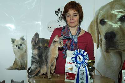 �������� ����� '������ ���-�����'  22-23 ������� 2014 WCF-����� 73_DSC_1010r.jpg