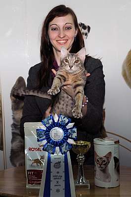 �������� ����� '������ ���-�����'  22-23 ������� 2014 WCF-����� DSC_0979r.jpg