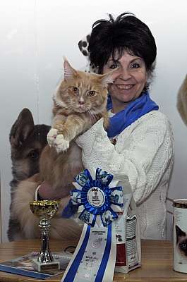 �������� ����� '������ ���-�����'  22-23 ������� 2014 WCF-����� DSC_0987r.jpg