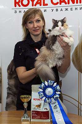 �������� ����� '������ ���-�����'  22-23 ������� 2014 WCF-����� DSC_0990r.jpg