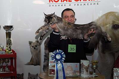 �������� ����� '������ ���-�����'  22-23 ������� 2014 WCF-����� DSC_0994r.jpg