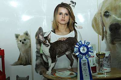 �������� ����� '������ ���-�����'  22-23 ������� 2014 WCF-����� DSC_1000r.jpg