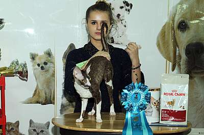 �������� ����� '������ ���-�����'  22-23 ������� 2014 WCF-����� 125_DSC_1710r.jpg