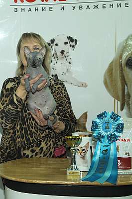 �������� ����� '������ ���-�����'  22-23 ������� 2014 WCF-����� 142_DSC_1706r.jpg