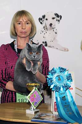 �������� ����� '������ ���-�����'  22-23 ������� 2014 WCF-����� DSC_1733r.jpg