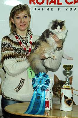 �������� ����� '������ ���-�����'  22-23 ������� 2014 WCF-����� DSC_1737r.jpg