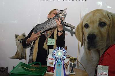 �������� ����� '������ ���-�����'  22-23 ������� 2014 WCF-����� 137_DSC_0637r.jpg