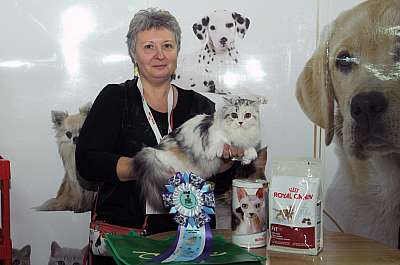 �������� ����� '������ ���-�����'  22-23 ������� 2014 WCF-����� 4_DSC_0626r.jpg