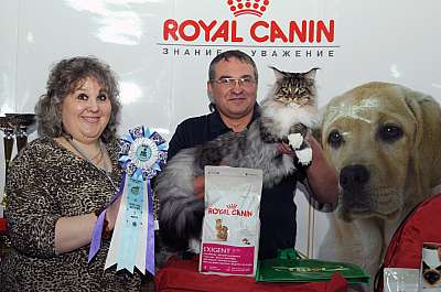 �������� ����� '������ ���-�����'  22-23 ������� 2014 WCF-����� 59_DSC_0614r.jpg