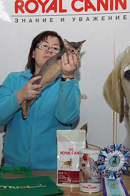 �������� ����� '������ ���-�����'  22-23 ������� 2014 WCF-����� 76_DSC_0610r.jpg