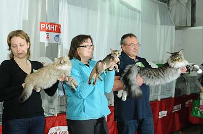 �������� ����� '������ ���-�����'  22-23 ������� 2014 WCF-����� DSC_0603r.jpg