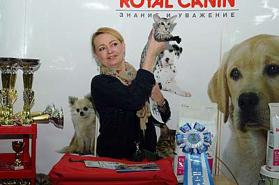 �������� ����� '������ ���-�����'  22-23 ������� 2014 WCF-����� 137_DSC_1938r.jpg