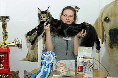 �������� ����� '������ ���-�����'  22-23 ������� 2014 WCF-����� 45_DSC_1955r.jpg