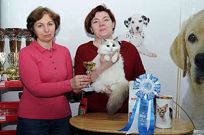 �������� ����� '������ ���-�����'  22-23 ������� 2014 WCF-����� 61_DSC_1960r.jpg