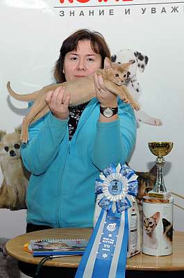 �������� ����� '������ ���-�����'  22-23 ������� 2014 WCF-����� 76_DSC_1951r.jpg