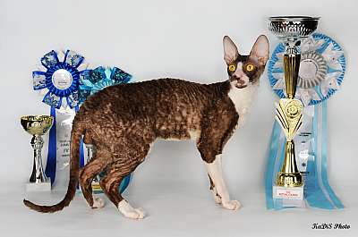 �������� ����� '������ ���-�����'  22-23 ������� 2014 �. 125_DSC_2098r.jpg