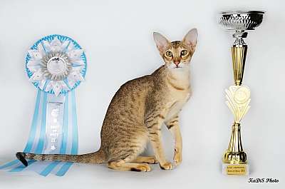 �������� ����� '������ ���-�����'  22-23 ������� 2014 136_DSC_2156r.jpg