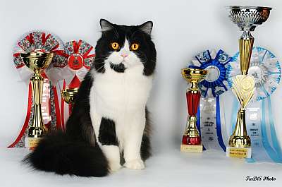 �������� ����� '������ ���-�����'  22-23 ������� 2014 �. 159_DSC_2114r.jpg