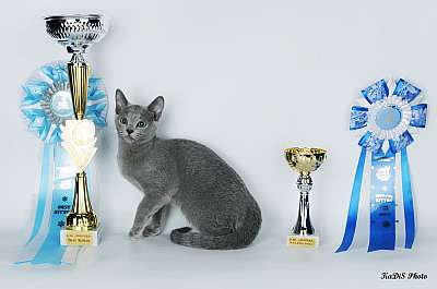 �������� ����� '������ ���-�����'  22-23 ������� 2014 191_DSC_2105r.jpg