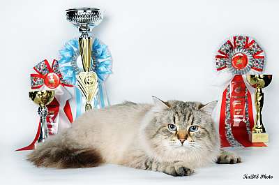 �������� ����� '������ ���-�����'  22-23 ������� 2014 196_DSC_2311r.jpg